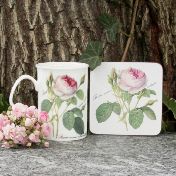 Geschenkset "Rose Redoute"